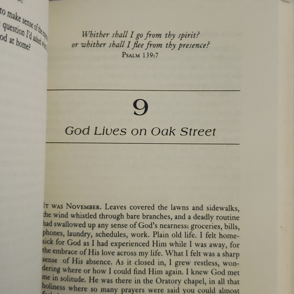 God's Joyful Surprise - Picture 4 of 5